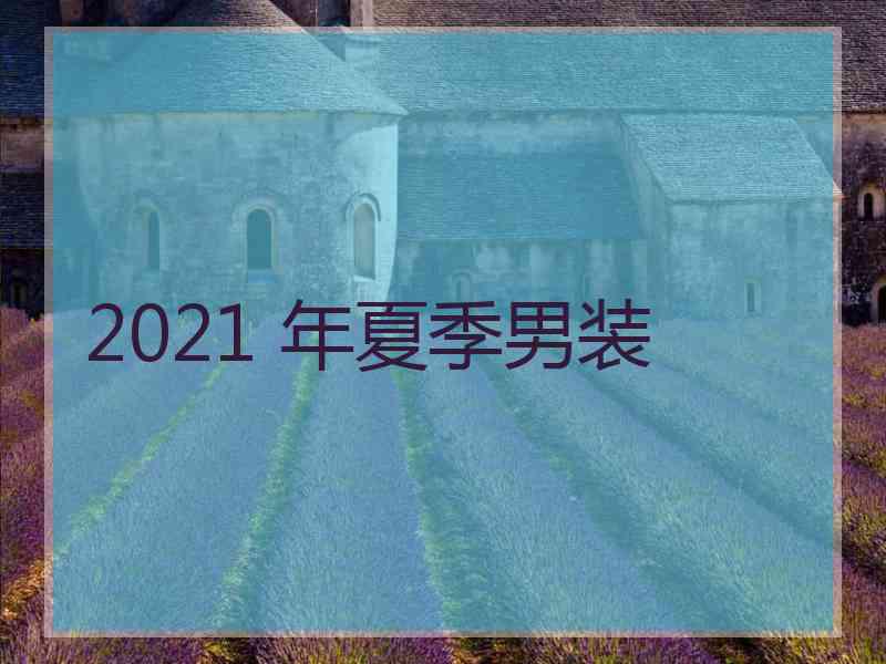 2021 年夏季男装