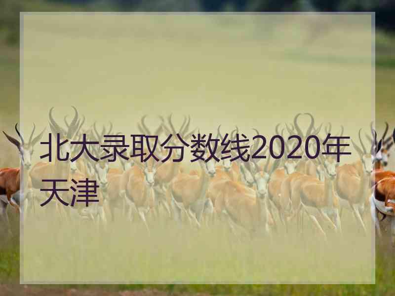 北大录取分数线2020年天津