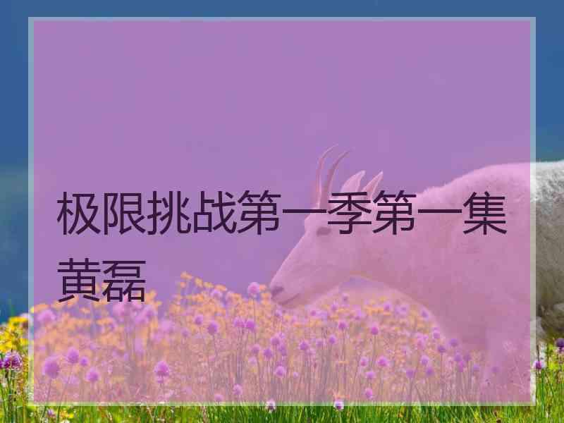 极限挑战第一季第一集黄磊