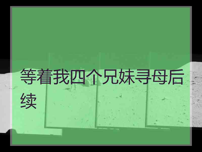 等着我四个兄妹寻母后续
