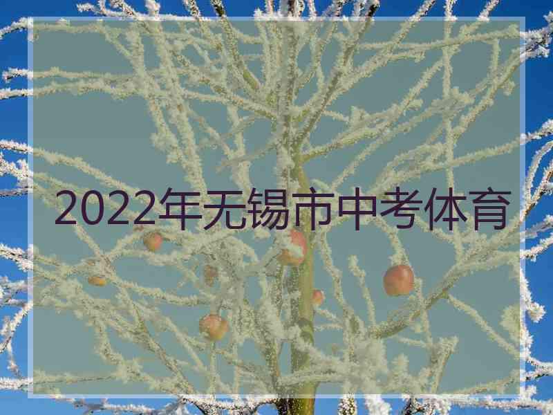 2022年无锡市中考体育