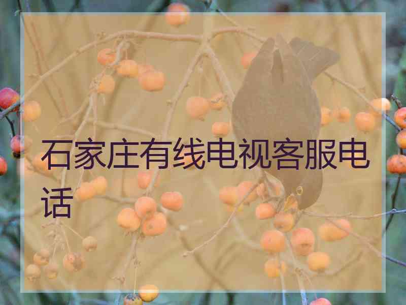 石家庄有线电视客服电话