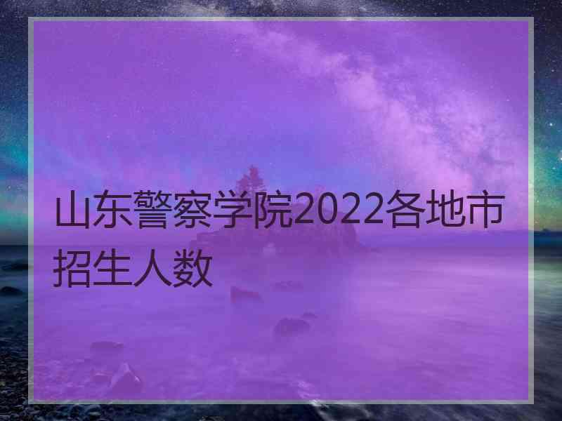 山东警察学院2022各地市招生人数