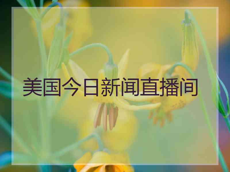 美国今日新闻直播间