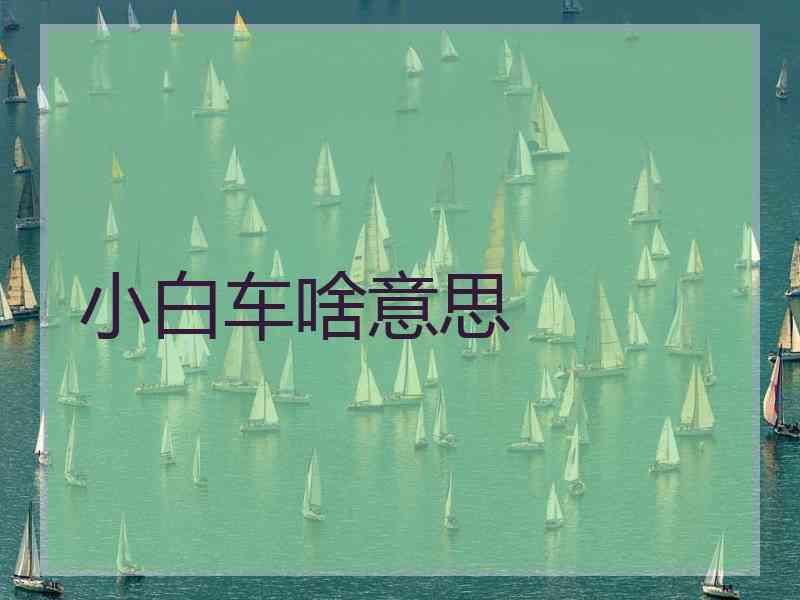 小白车啥意思