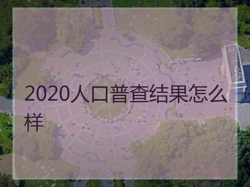 2020人口普查结果怎么样