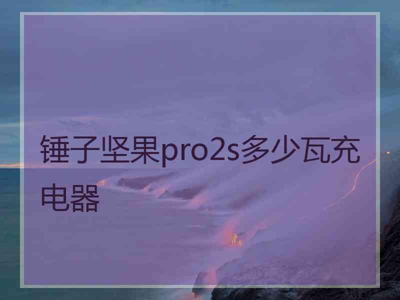 锤子坚果pro2s多少瓦充电器