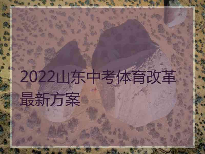 2022山东中考体育改革最新方案