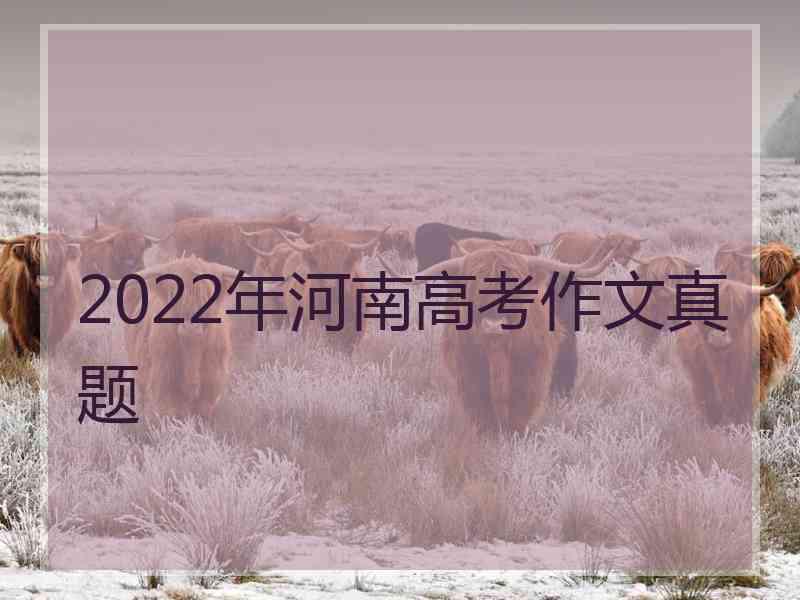 2022年河南高考作文真题