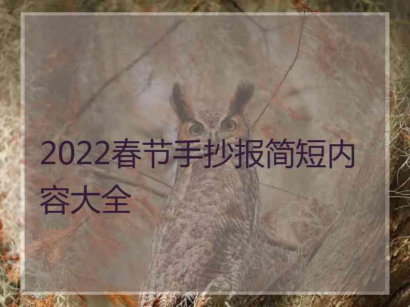2022春节手抄报简短内容大全