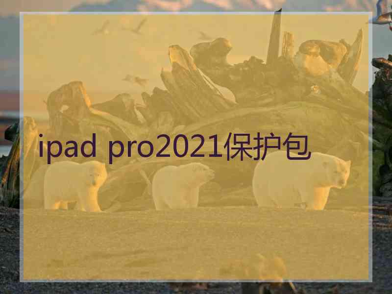 ipad pro2021保护包