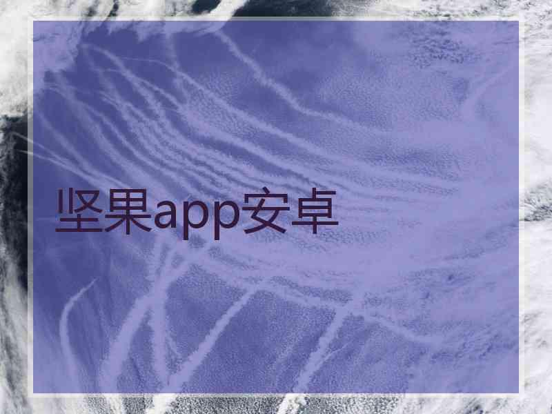 坚果app安卓