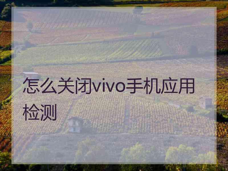 怎么关闭vivo手机应用检测
