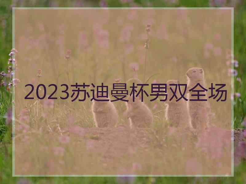 2023苏迪曼杯男双全场