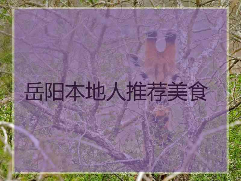 岳阳本地人推荐美食