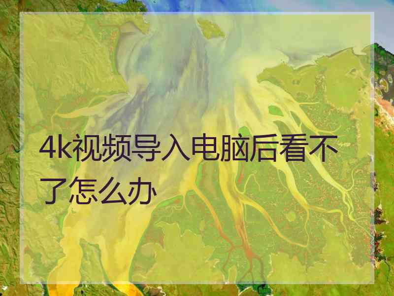 4k视频导入电脑后看不了怎么办