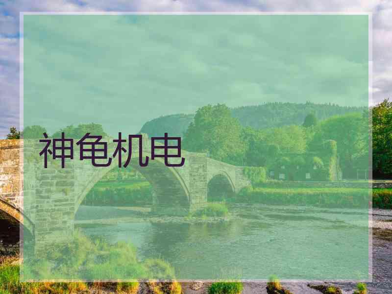 神龟机电