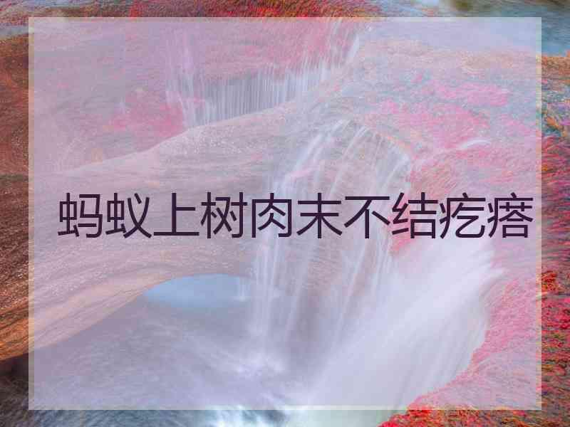 蚂蚁上树肉末不结疙瘩