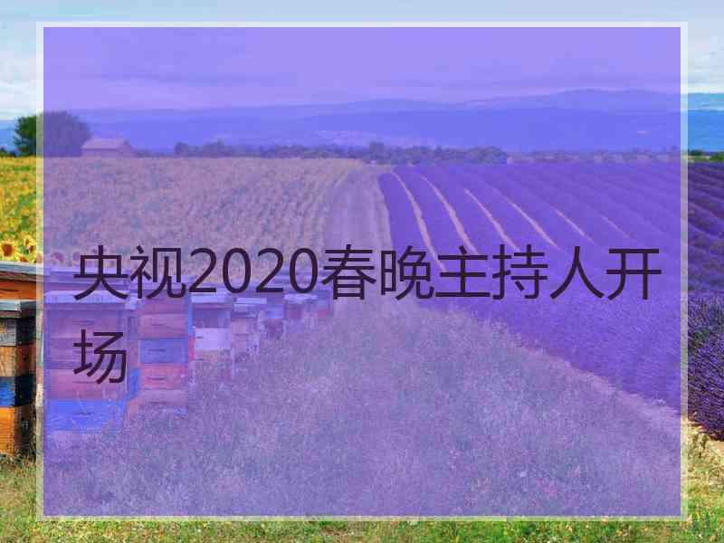 央视2020春晚主持人开场