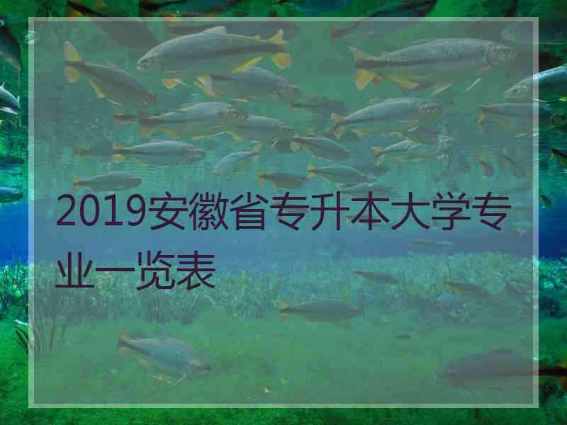 2019安徽省专升本大学专业一览表