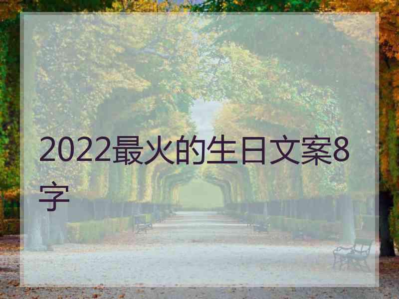 2022最火的生日文案8字