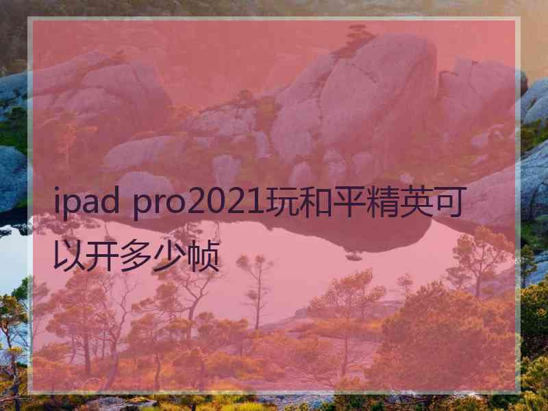 ipad pro2021玩和平精英可以开多少帧