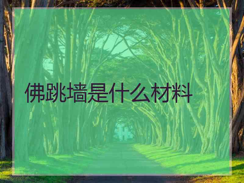 佛跳墙是什么材料