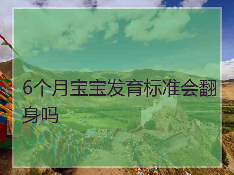 6个月宝宝发育标准会翻身吗
