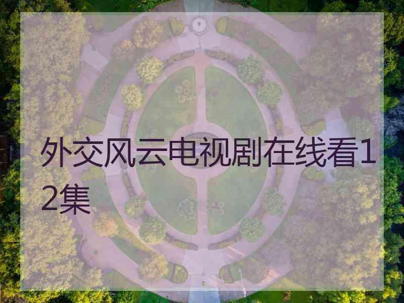 外交风云电视剧在线看12集