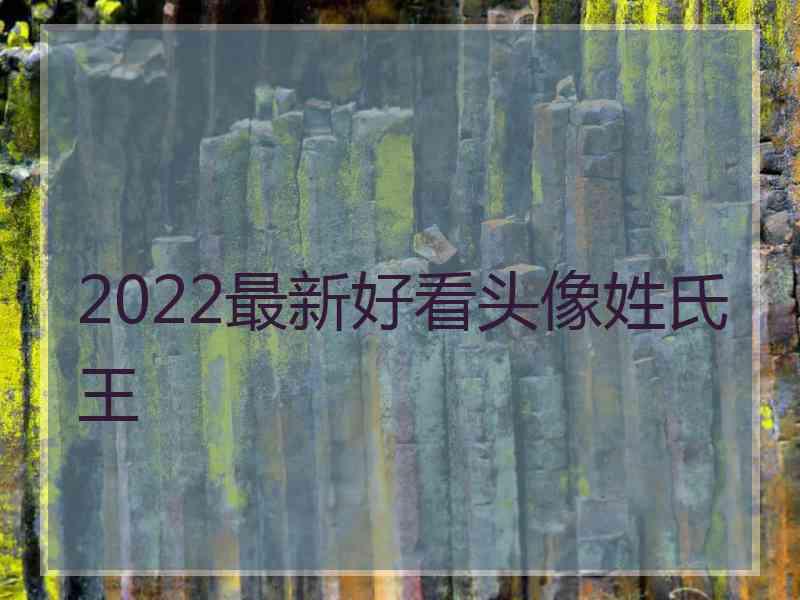 2022最新好看头像姓氏王