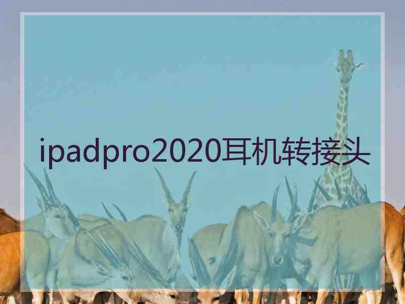 ipadpro2020耳机转接头
