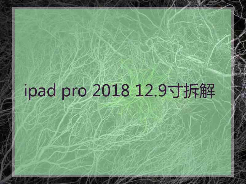 ipad pro 2018 12.9寸拆解