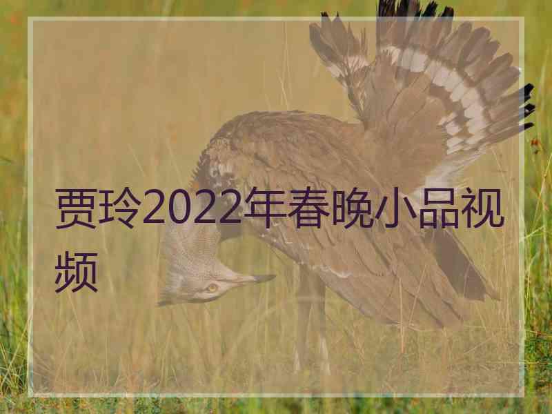 贾玲2022年春晚小品视频