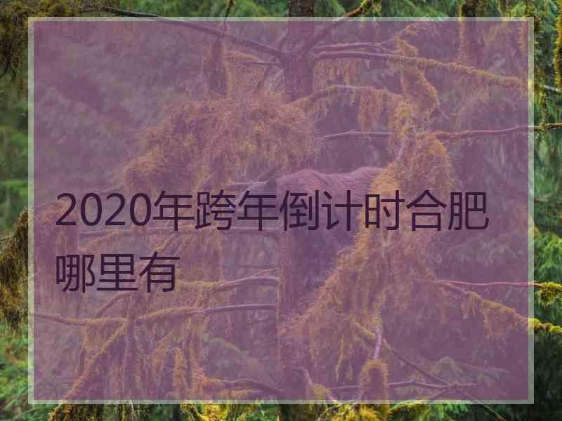 2020年跨年倒计时合肥哪里有