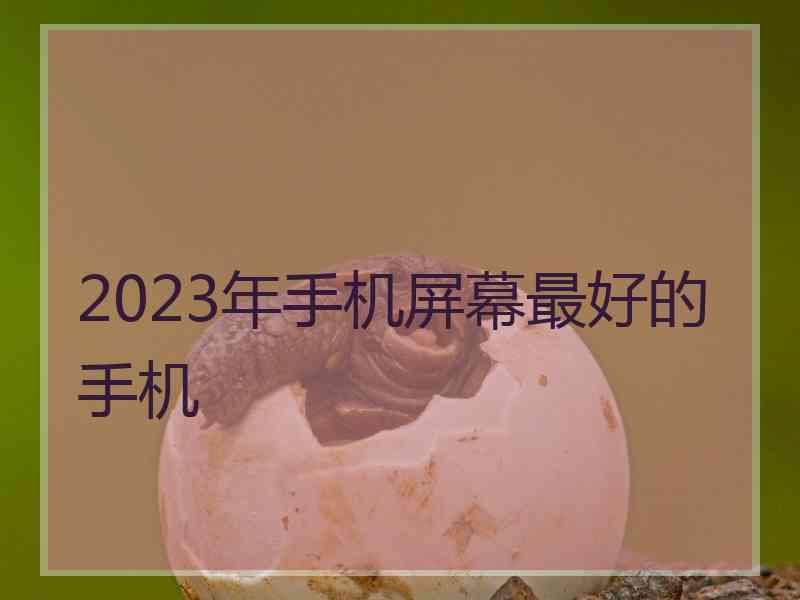 2023年手机屏幕最好的手机