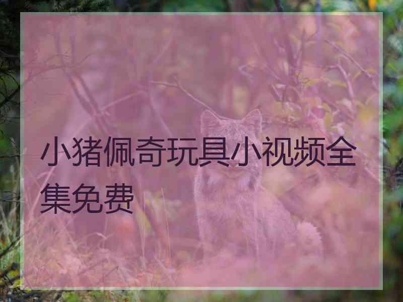小猪佩奇玩具小视频全集免费