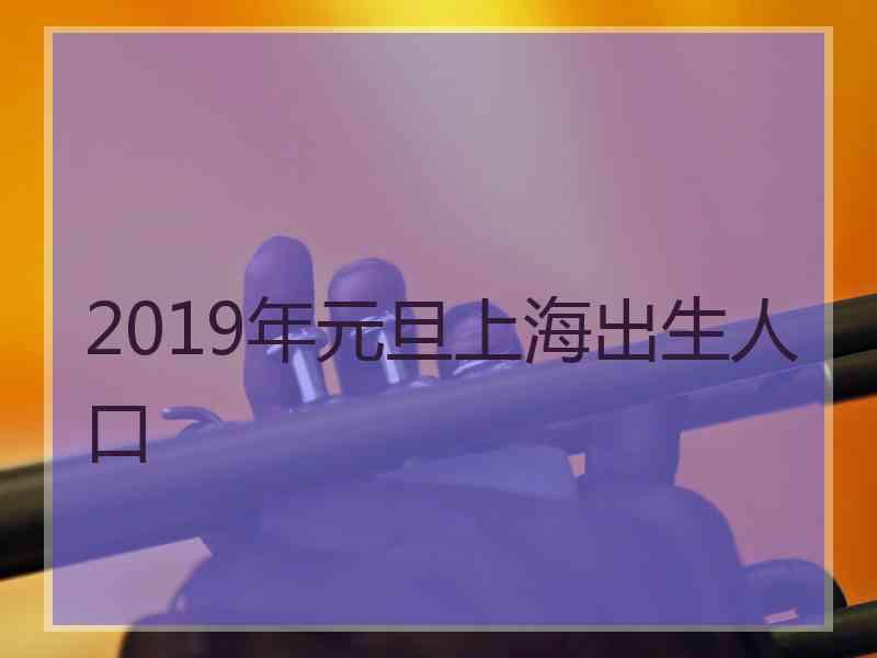 2019年元旦上海出生人口