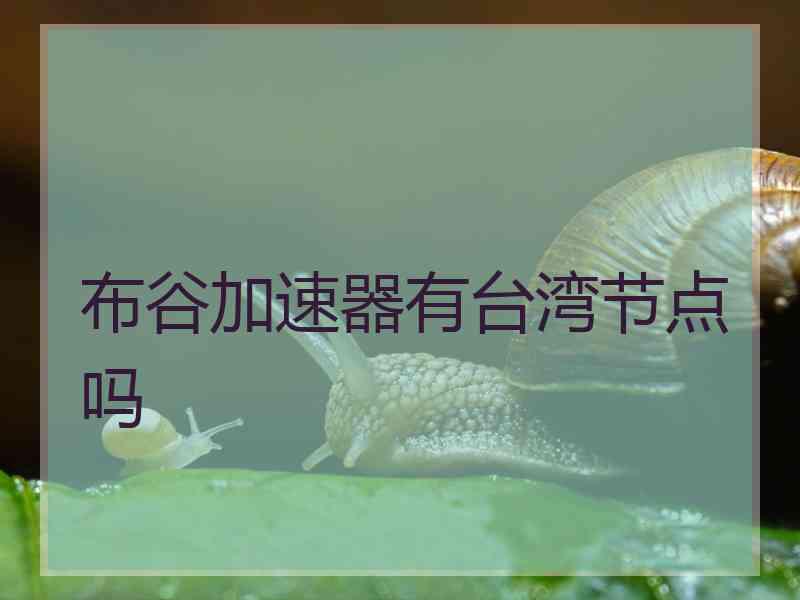 布谷加速器有台湾节点吗