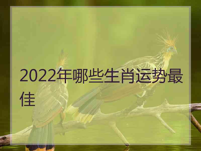 2022年哪些生肖运势最佳