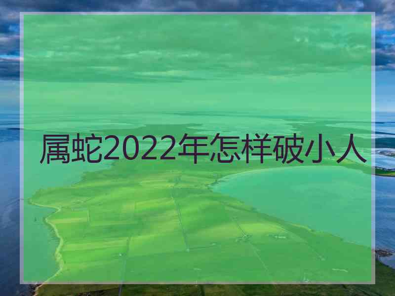 属蛇2022年怎样破小人
