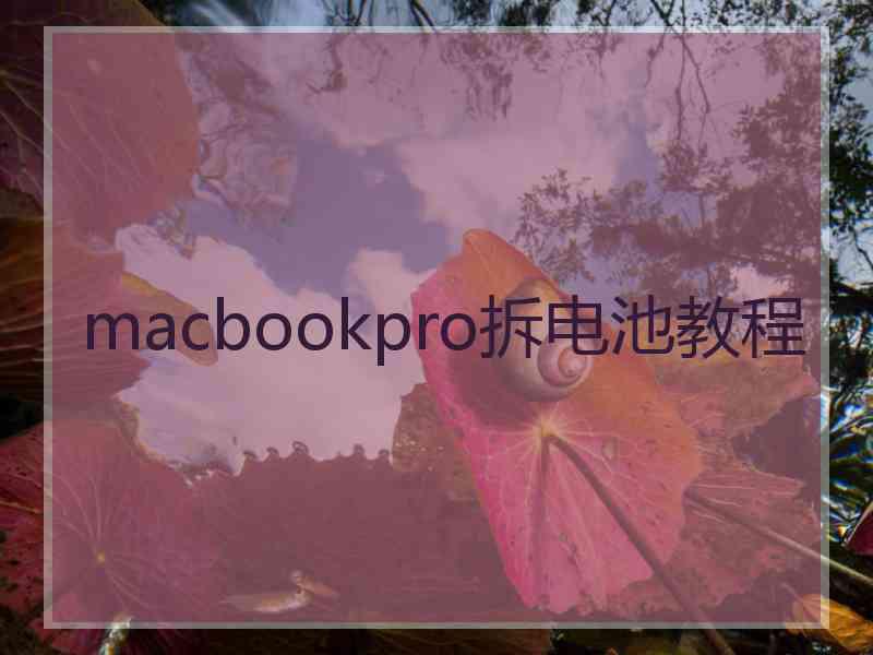 macbookpro拆电池教程