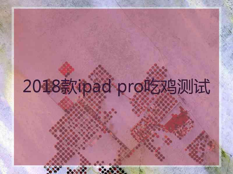 2018款ipad pro吃鸡测试