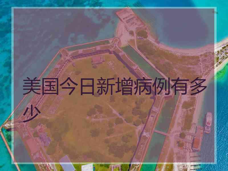 美国今日新增病例有多少