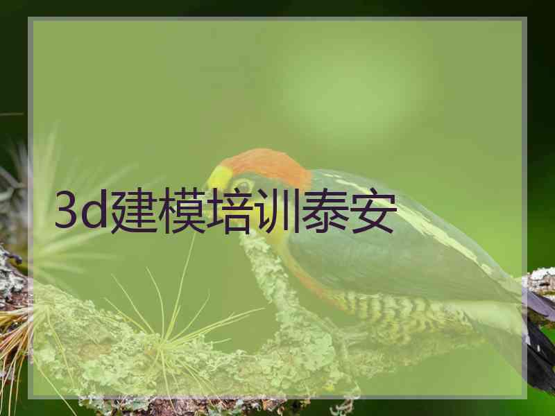 3d建模培训泰安