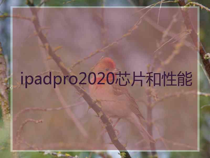 ipadpro2020芯片和性能
