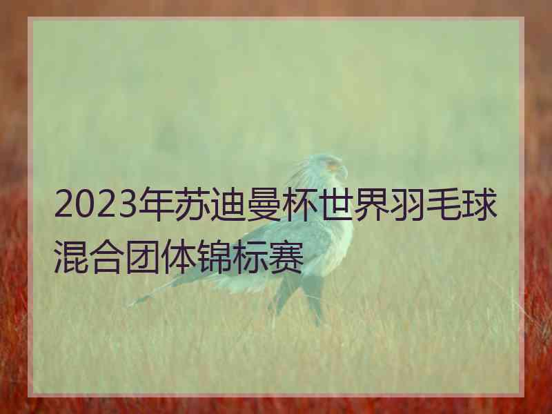 2023年苏迪曼杯世界羽毛球混合团体锦标赛