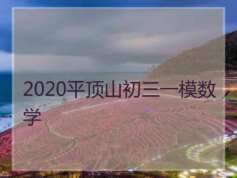 2020平顶山初三一模数学