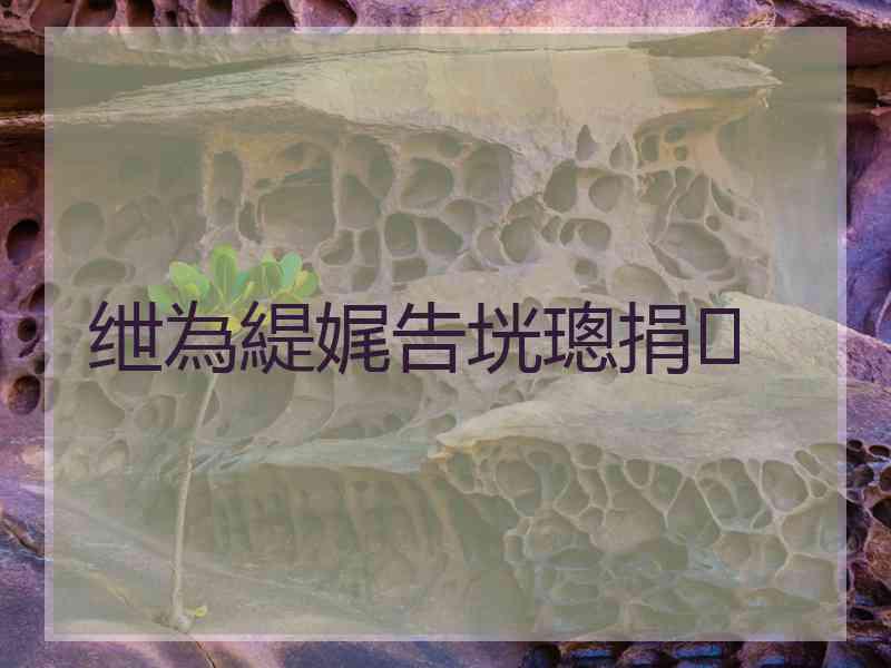 绁為緹娓告垙璁捐