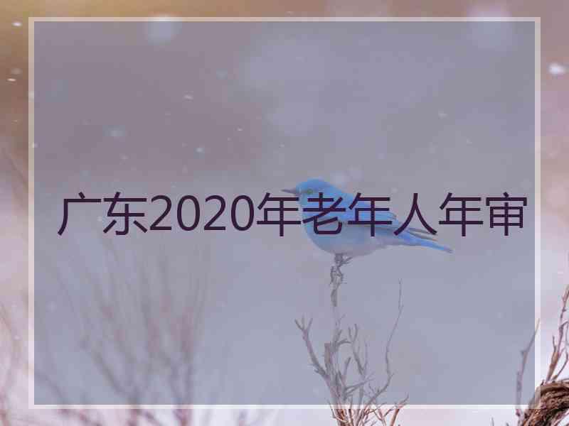 广东2020年老年人年审