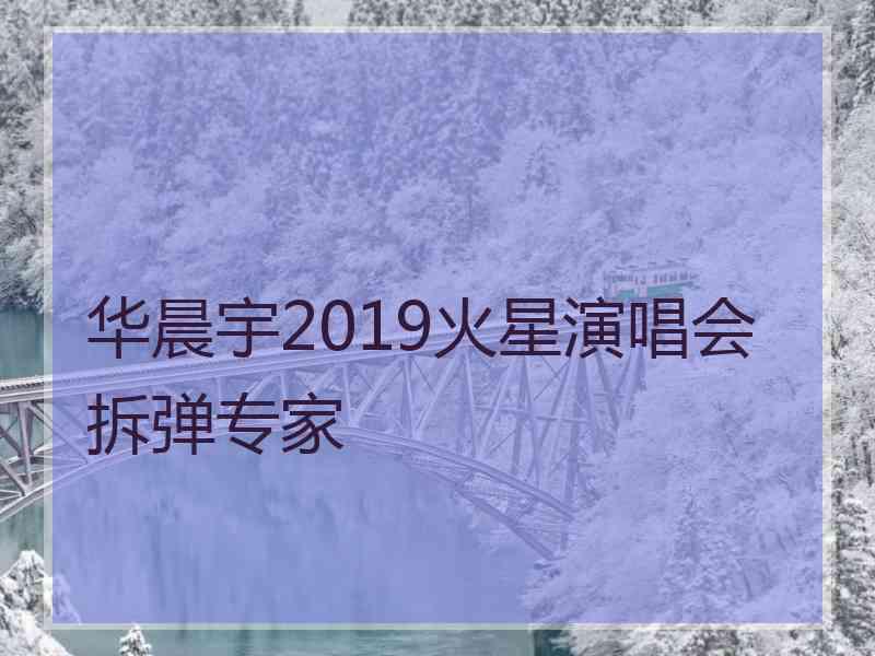 华晨宇2019火星演唱会拆弹专家